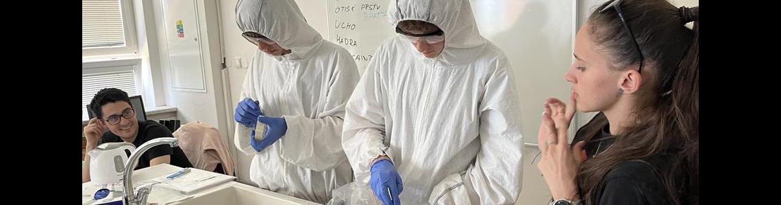 HODINY MODERNÍ CHEMIE